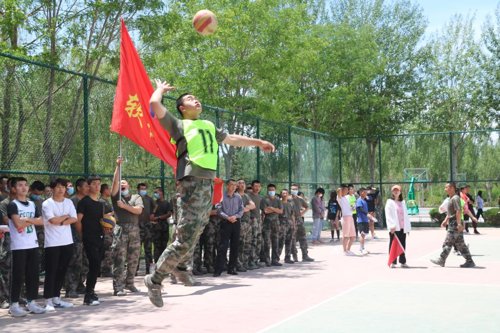 皇家体育app下载