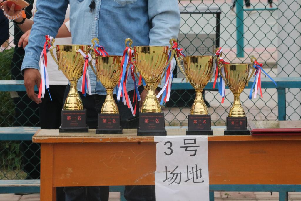 皇家体育app下载