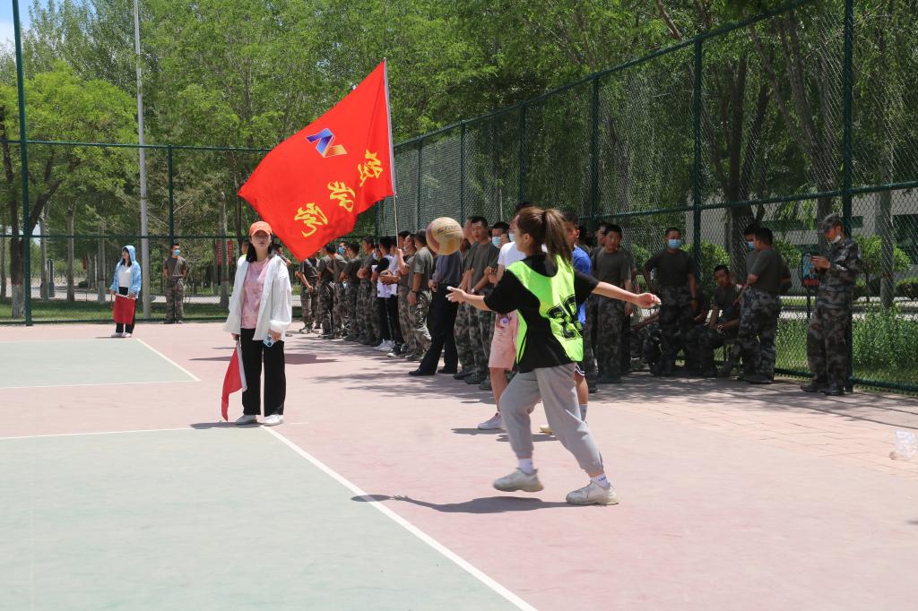 皇家平台app下载手机版登录
